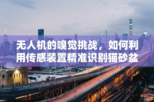 无人机的嗅觉挑战，如何利用传感装置精准识别猫砂盆？