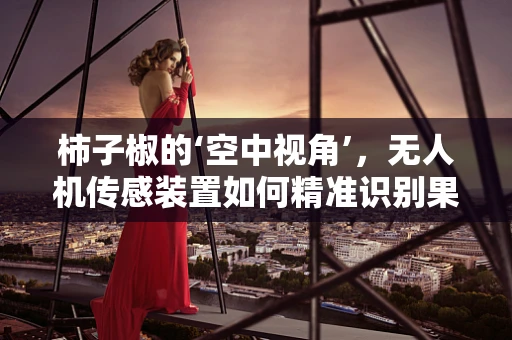 柿子椒的‘空中视角’，无人机传感装置如何精准识别果蔬成熟度？