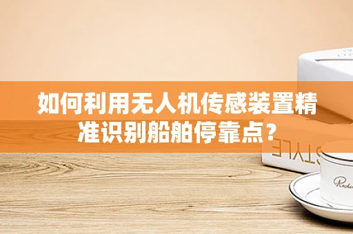 如何利用无人机传感装置精准识别船舶停靠点？