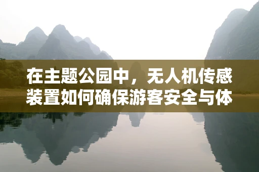 在主题公园中，无人机传感装置如何确保游客安全与体验的双重提升？