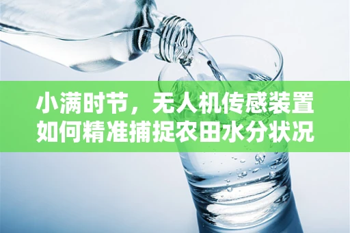小满时节，无人机传感装置如何精准捕捉农田水分状况？