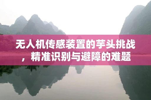 无人机传感装置的芋头挑战，精准识别与避障的难题