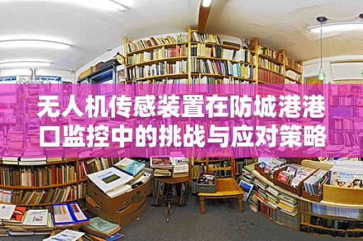 无人机传感装置在防城港港口监控中的挑战与应对策略