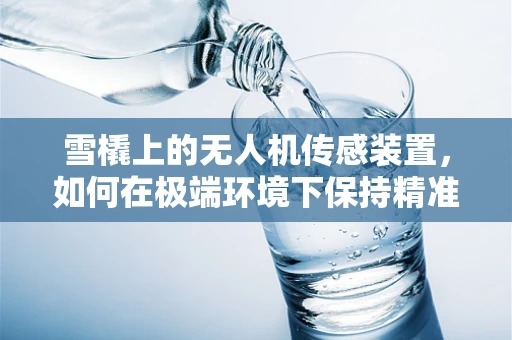 雪橇上的无人机传感装置，如何在极端环境下保持精准导航？
