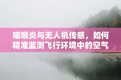 咽喉炎与无人机传感，如何精准监测飞行环境中的空气质量？