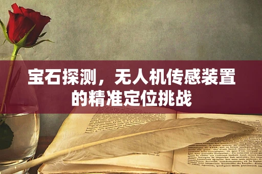 宝石探测，无人机传感装置的精准定位挑战