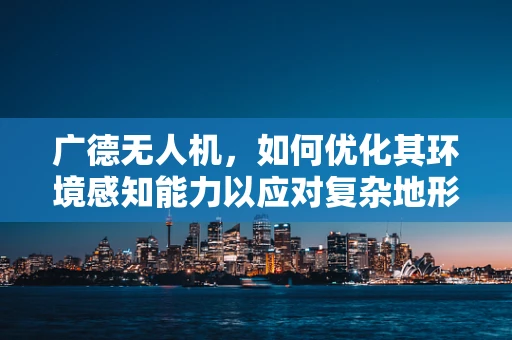 广德无人机，如何优化其环境感知能力以应对复杂地形？