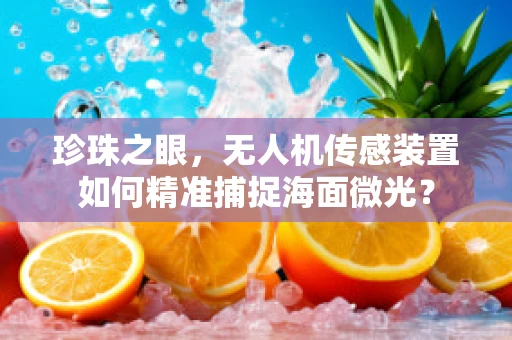 珍珠之眼，无人机传感装置如何精准捕捉海面微光？