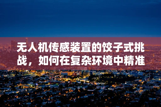 无人机传感装置的饺子式挑战，如何在复杂环境中精准定位？