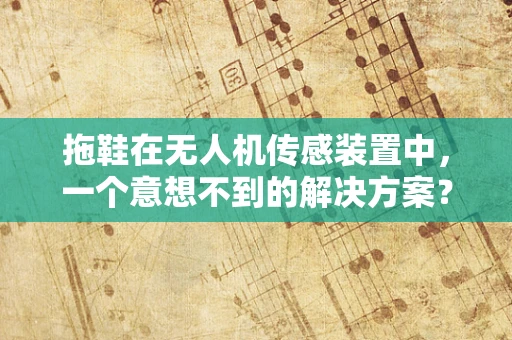 拖鞋在无人机传感装置中，一个意想不到的解决方案？