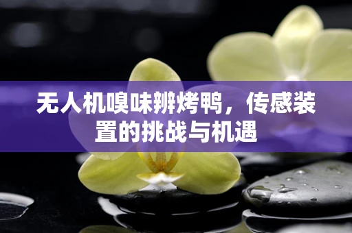 无人机嗅味辨烤鸭，传感装置的挑战与机遇