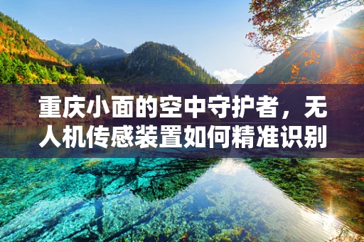 重庆小面的空中守护者，无人机传感装置如何精准识别？
