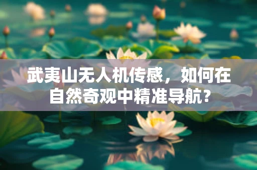 武夷山无人机传感，如何在自然奇观中精准导航？
