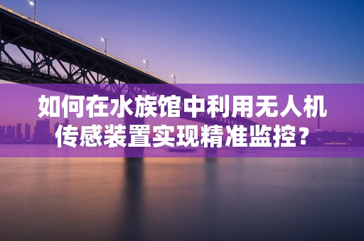 如何在水族馆中利用无人机传感装置实现精准监控？