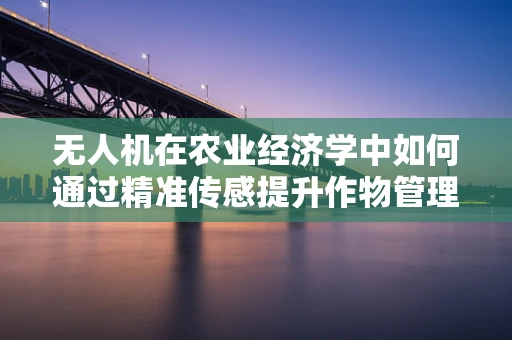 无人机在农业经济学中如何通过精准传感提升作物管理效率？