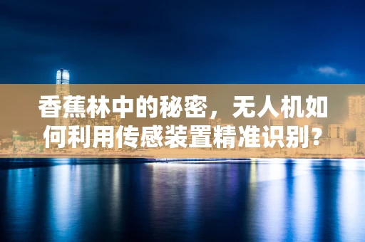 香蕉林中的秘密，无人机如何利用传感装置精准识别？