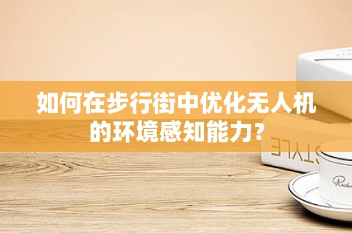 如何在步行街中优化无人机的环境感知能力？