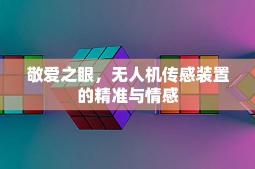 敬爱之眼，无人机传感装置的精准与情感