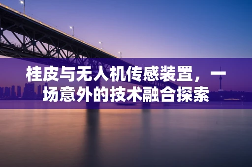桂皮与无人机传感装置，一场意外的技术融合探索