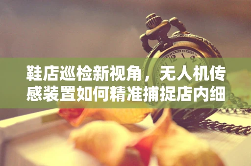鞋店巡检新视角，无人机传感装置如何精准捕捉店内细节？