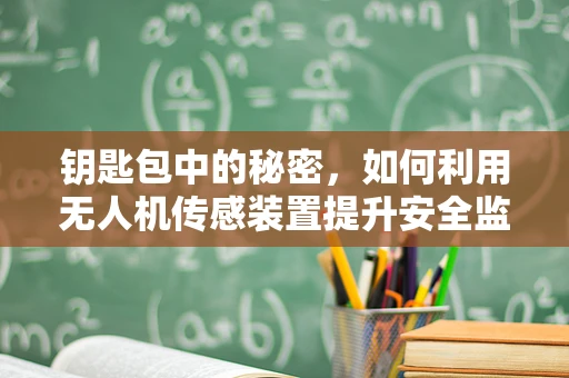 钥匙包中的秘密，如何利用无人机传感装置提升安全监控？