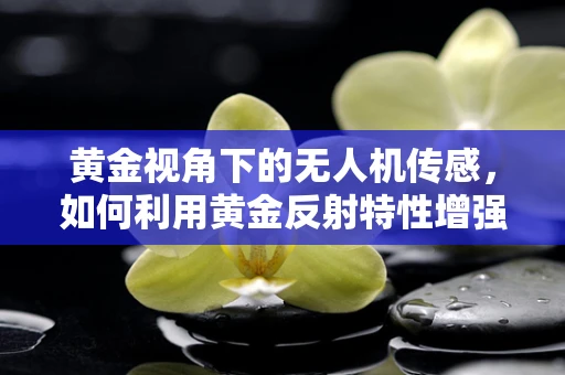 黄金视角下的无人机传感，如何利用黄金反射特性增强定位精度？
