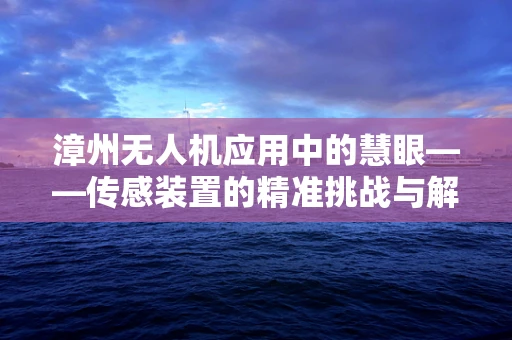 漳州无人机应用中的慧眼——传感装置的精准挑战与解决方案