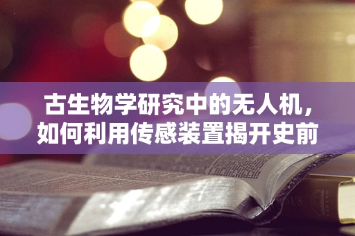 古生物学研究中的无人机，如何利用传感装置揭开史前秘密？