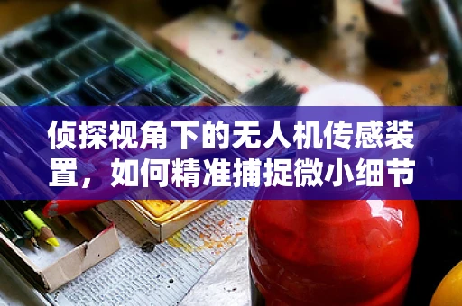 侦探视角下的无人机传感装置，如何精准捕捉微小细节？