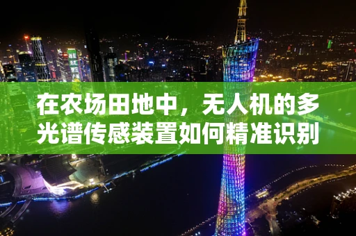 在农场田地中，无人机的多光谱传感装置如何精准识别作物生长状况？