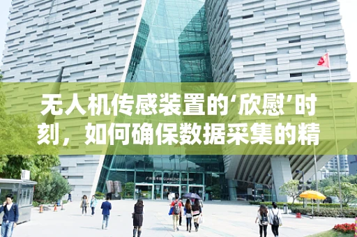 无人机传感装置的‘欣慰’时刻，如何确保数据采集的精准无误？