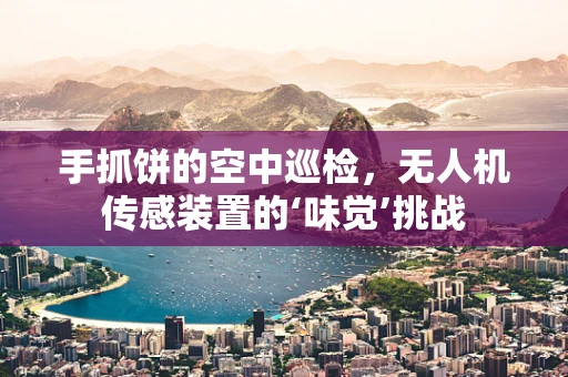 手抓饼的空中巡检，无人机传感装置的‘味觉’挑战