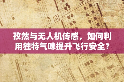 孜然与无人机传感，如何利用独特气味提升飞行安全？