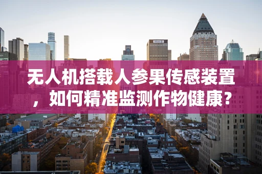 无人机搭载人参果传感装置，如何精准监测作物健康？
