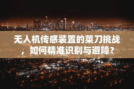 无人机传感装置的菜刀挑战，如何精准识别与避障？