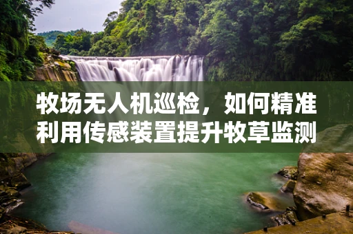 牧场无人机巡检，如何精准利用传感装置提升牧草监测效率？