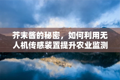 芥末酱的秘密，如何利用无人机传感装置提升农业监测精度？