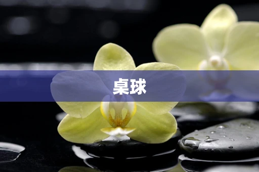桌球
