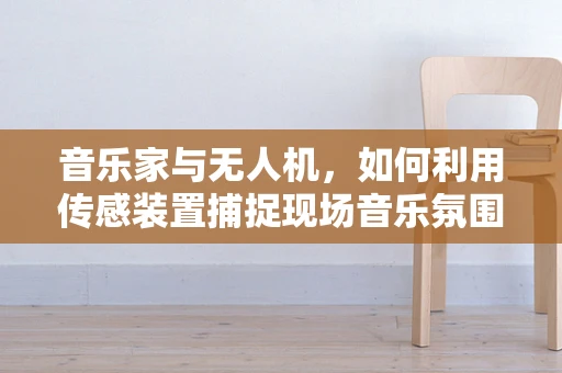 音乐家与无人机，如何利用传感装置捕捉现场音乐氛围？