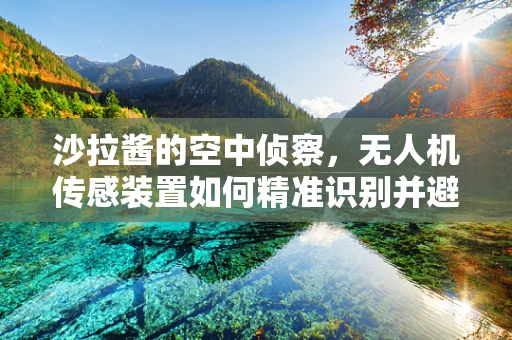 沙拉酱的空中侦察，无人机传感装置如何精准识别并避免‘意外’碰撞？