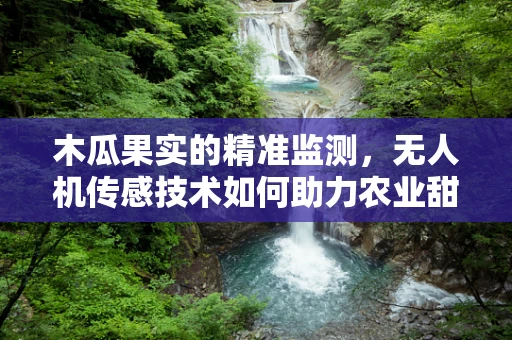 木瓜果实的精准监测，无人机传感技术如何助力农业甜蜜收获？