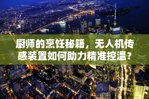 厨师的烹饪秘籍，无人机传感装置如何助力精准控温？