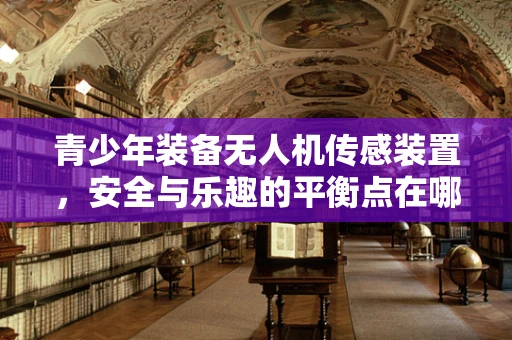 青少年装备无人机传感装置，安全与乐趣的平衡点在哪里？