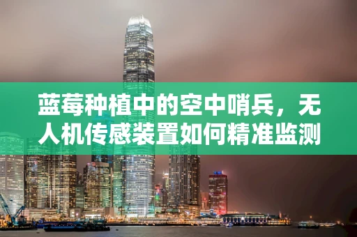 蓝莓种植中的空中哨兵，无人机传感装置如何精准监测作物健康？