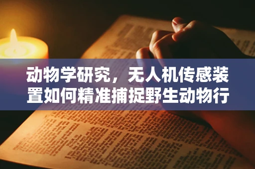 动物学研究，无人机传感装置如何精准捕捉野生动物行为？