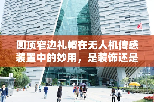 圆顶窄边礼帽在无人机传感装置中的妙用，是装饰还是功能？