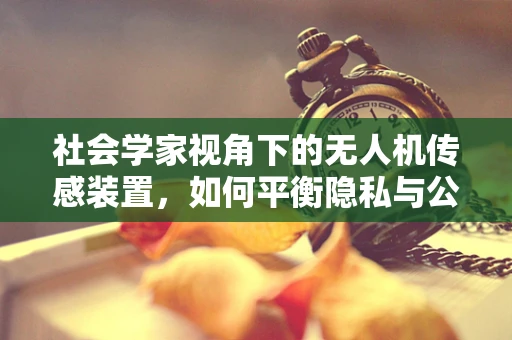 社会学家视角下的无人机传感装置，如何平衡隐私与公共安全？