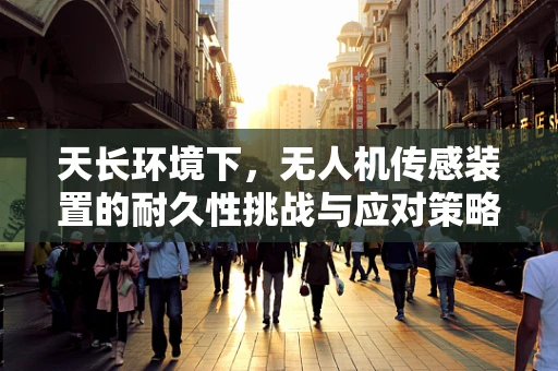天长环境下，无人机传感装置的耐久性挑战与应对策略