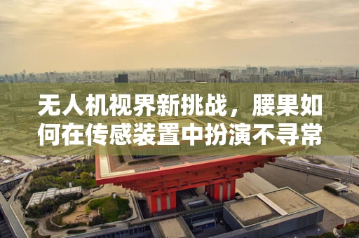 无人机视界新挑战，腰果如何在传感装置中扮演不寻常角色？