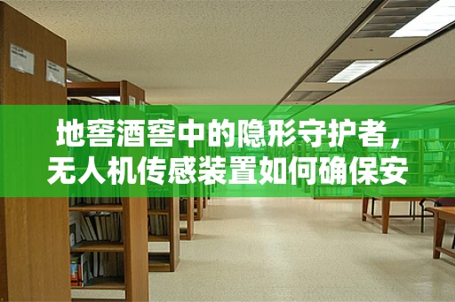 地窖酒窖中的隐形守护者，无人机传感装置如何确保安全？